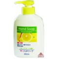 556239_DAIICHI HAND SOAP Увлажняющее жидкое мыло для рук, объем 250 мл.
